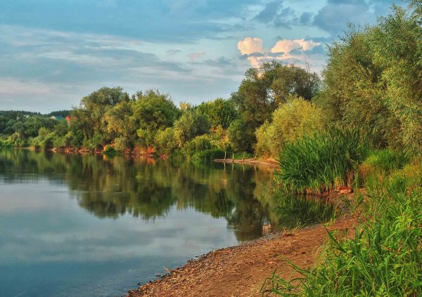 Природа Донского края Волгодонск