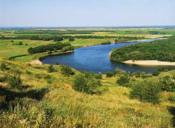 Дон на реке Дон