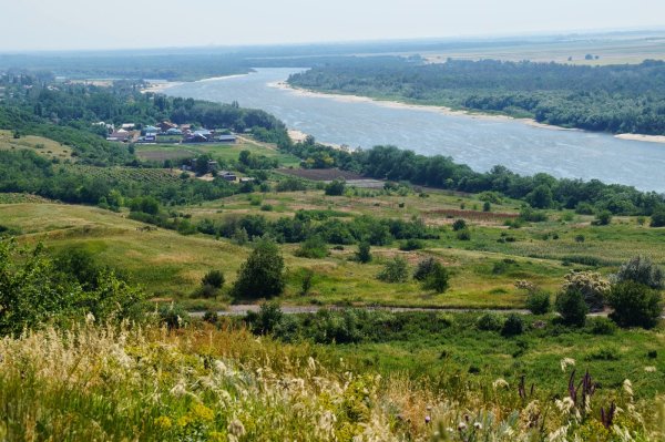 Донская степь Ростовская область