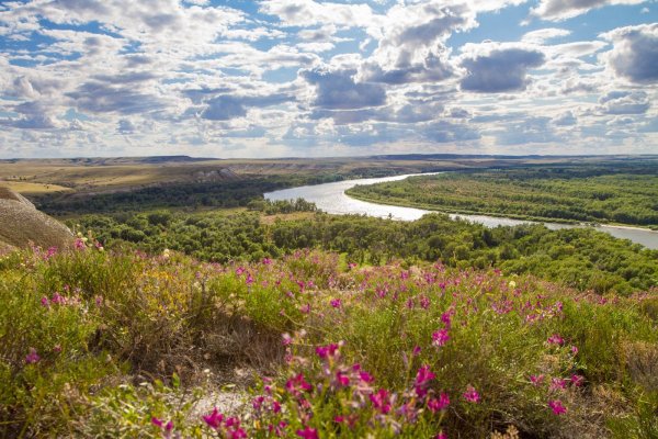 Донская степь Ростовская область