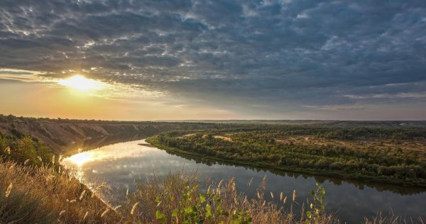 Донские степи Ростовской области