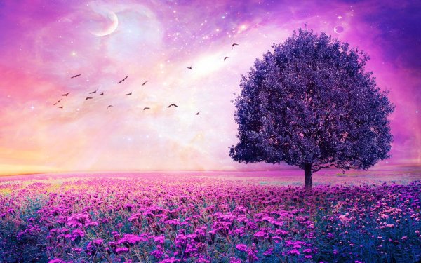 Природа в сиреневых тонах
