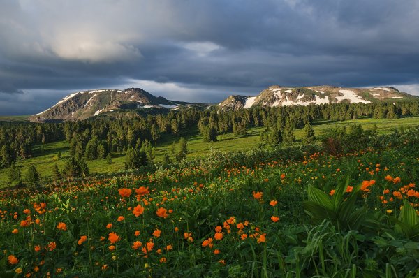 Альпийские Луга Эльбруса