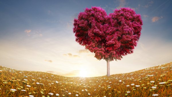 Прекрасная природа