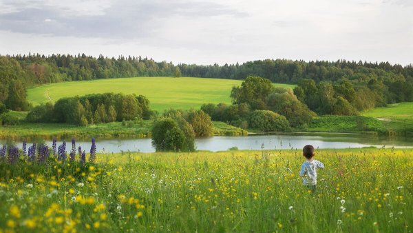 Природа глазами детей рисунки