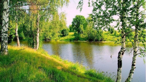Детские рисунки на тему Родина