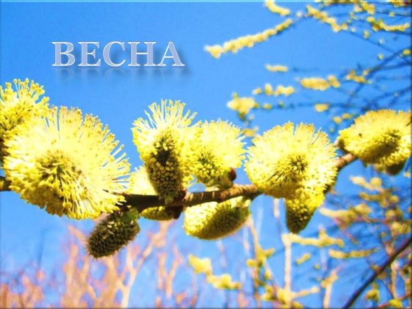 Весенние явления природы