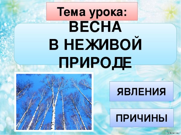Приметы весны для дошкольников