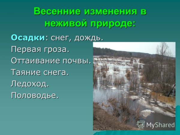 Признаки весны для дошкольников