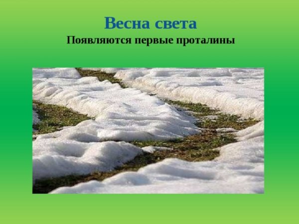 Изменения в природе весной