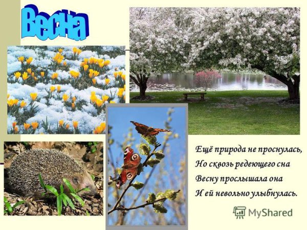 Рисунок весенние изменения