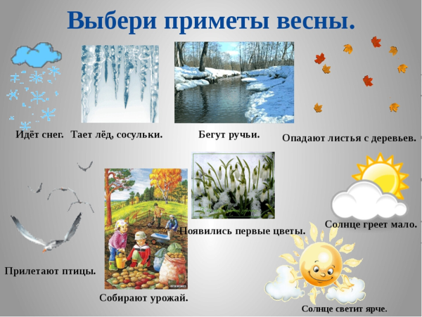 Весенние явления природы для детей