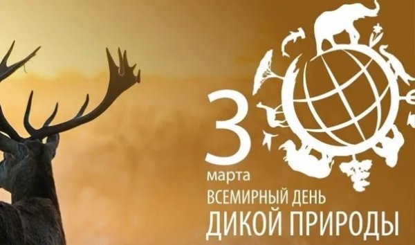 Всемирныднь дикой природы