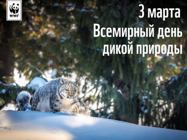День дикой природы