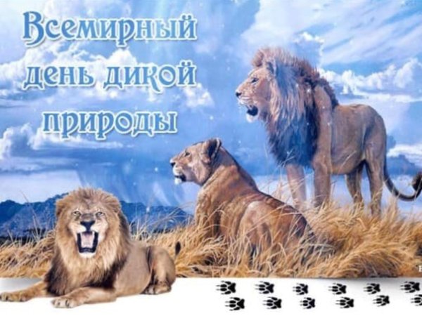 День дикой природы 3 марта