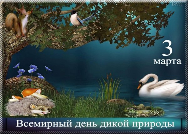 Всемирный день охраны дикой природы