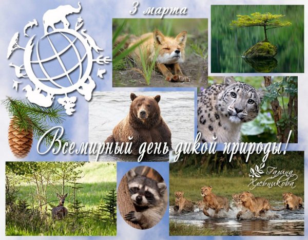 День дикой природы 22 февраля