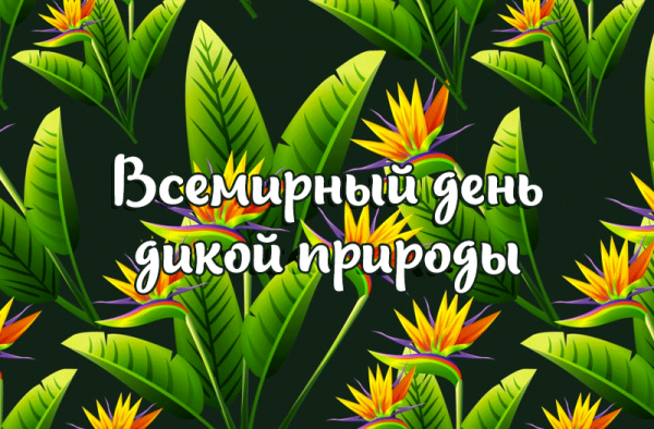 День дикой природы