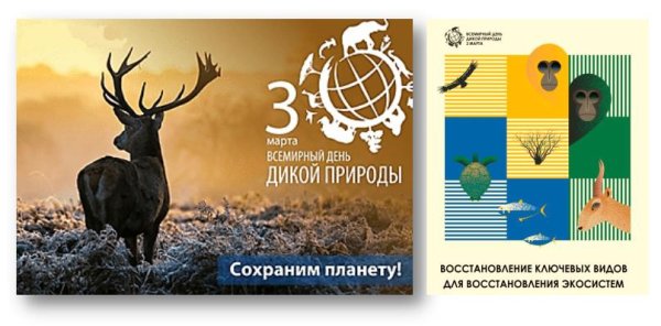 День дикой природы 3 марта