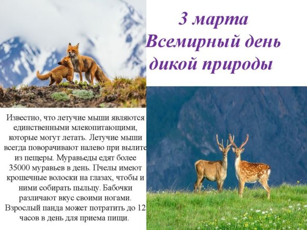 Какие растения и животные охраняются в Карадагском заповеднике