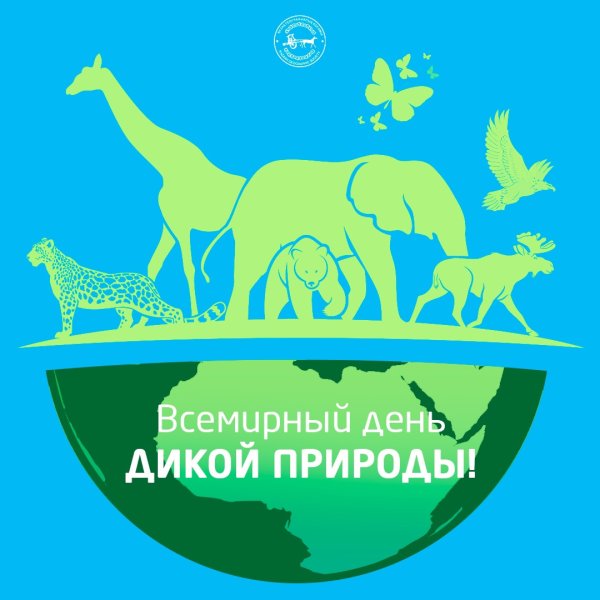 Эталоны дикой природы это