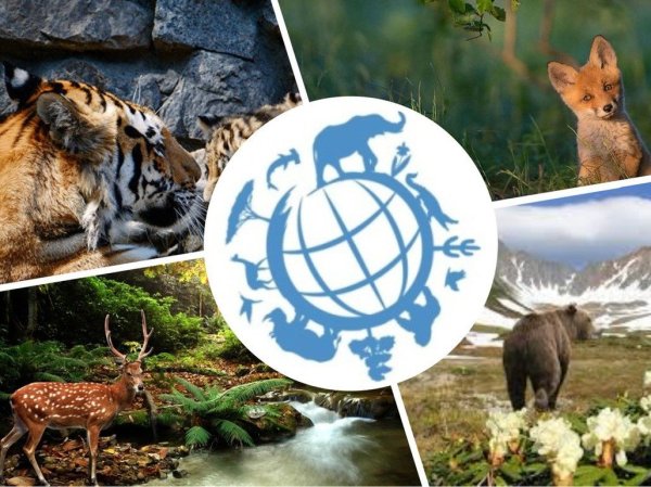 Всемирный день дикой природы (World Wildlife Day)