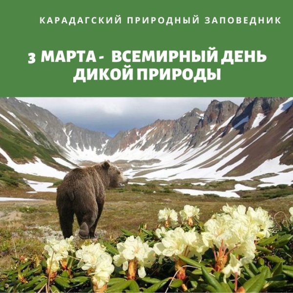 World Wildlife Day