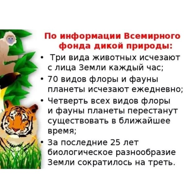 Международный день защиты дикой природы
