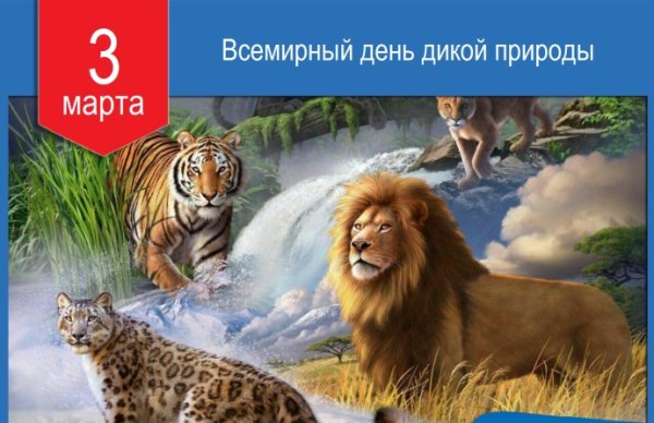 Загадочный мир дикой природы экологический час