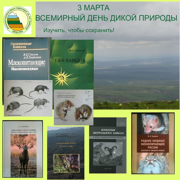 Биологическое разнообразие