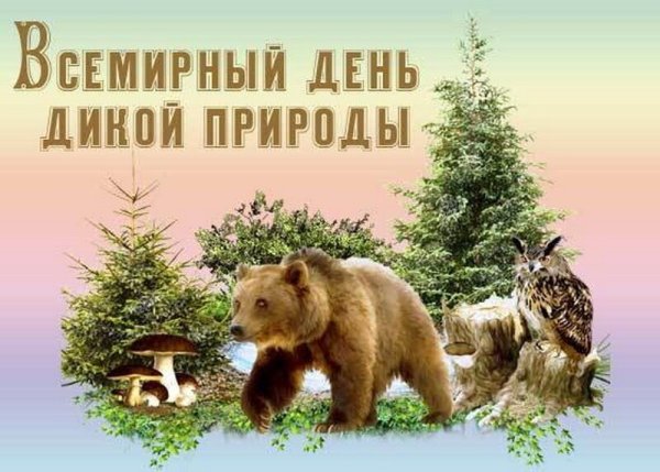 День дикой природы 2021