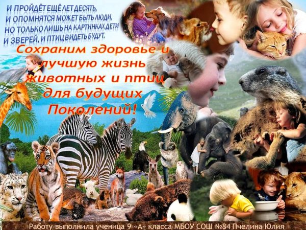 Флора и фауна