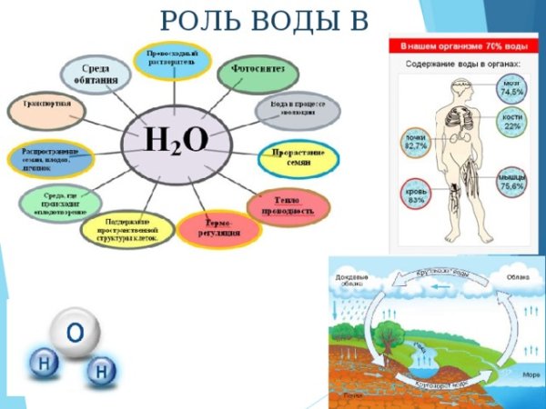 Человек и природа вода