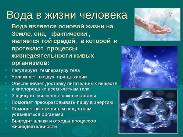 Вода в жизни человека