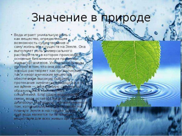 Значение воды в жизни человека