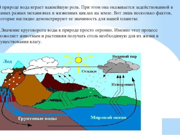 Важность воды в жизни человека