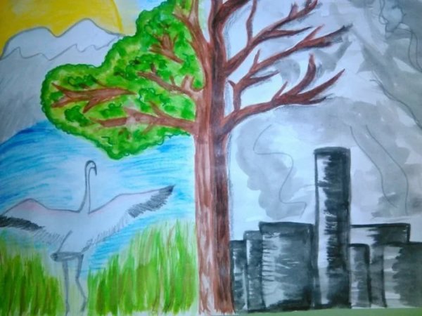 Рисование на тему экология