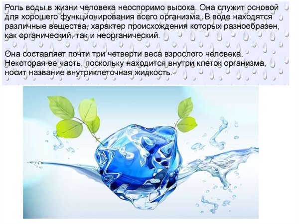 Значимость воды в жизни человека