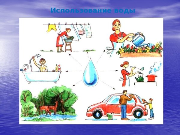 Роль воды в природе