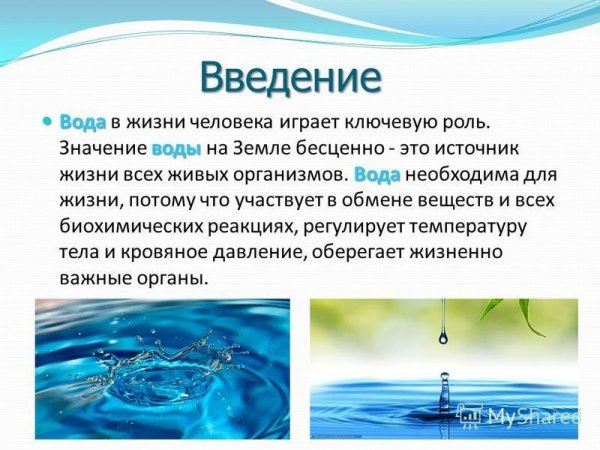 Роль воды в живой природе
