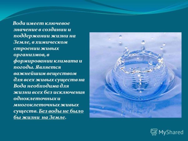 Биологическая роль воды