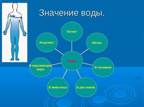 Значение воды в организме человека