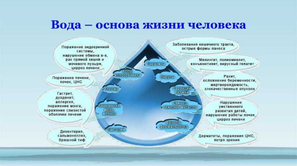 Значение воды