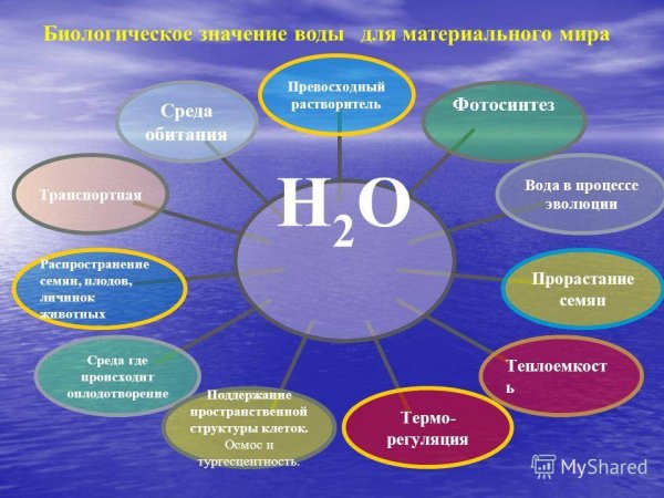Беседа на тему воды