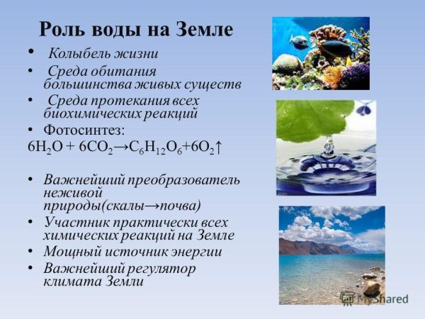 Роль воды в природе актуальность
