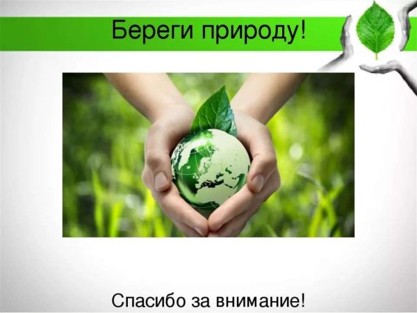 Спасибо за внимание берегите природу