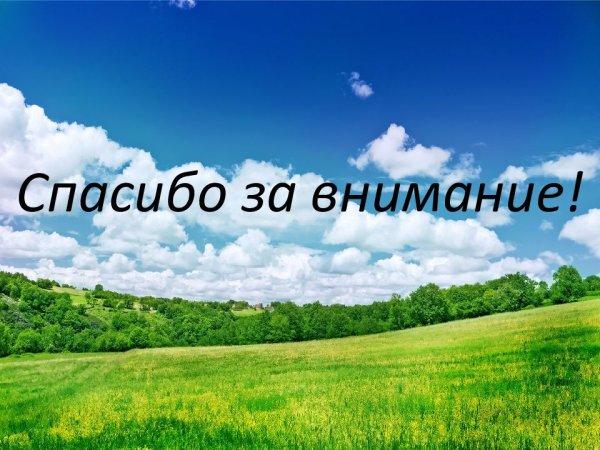 Спасибо за внимание природа