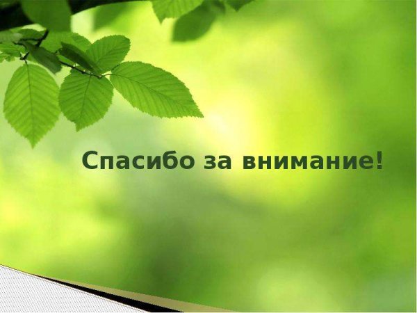 Спасибо за внимание экология