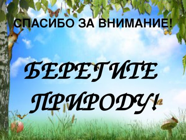Спасибо за внимание экология
