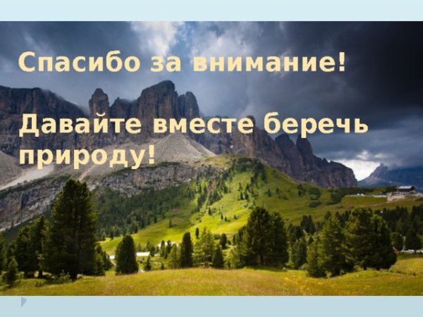 Спасибо за внимание для презентации по экологии